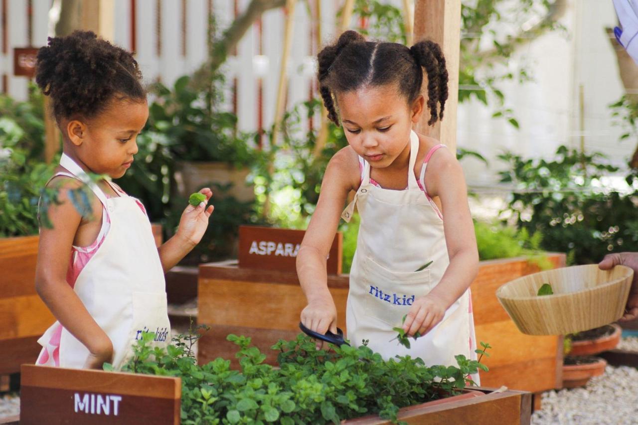 The Ritz-Carlton, Doha Hotell Exteriör bild Children working in a garden