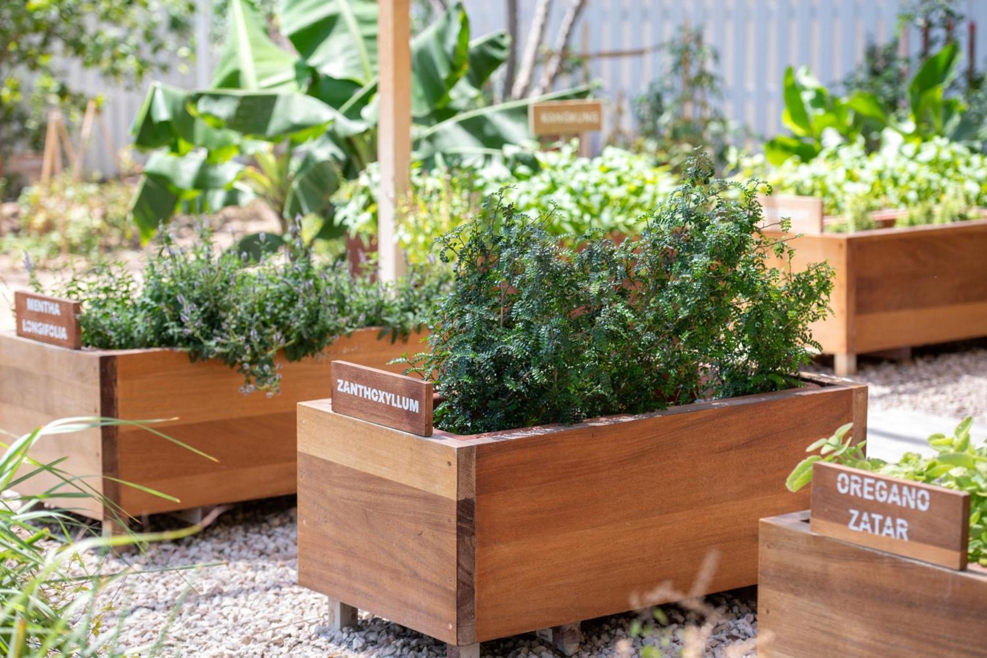The Ritz-Carlton, Doha Hotell Exteriör bild Raised beds in a garden